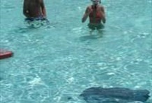 Swimming with Stingrays